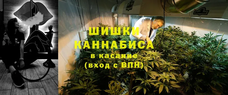 Шишки марихуана LSD WEED  ссылка на мегу ТОР  Кущёвская 